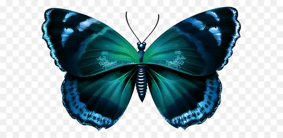Papillon，Violet PNG