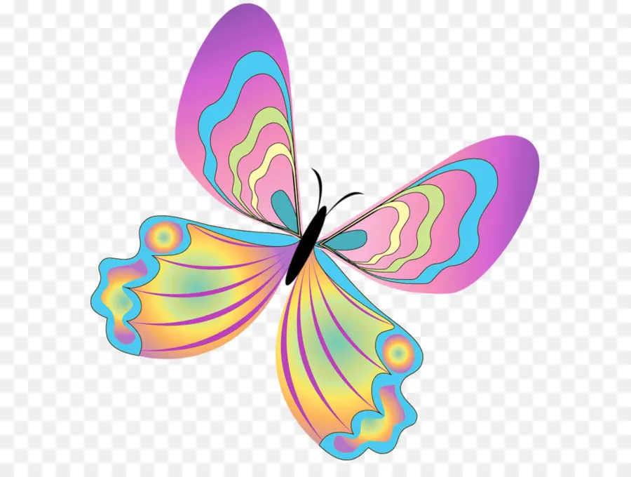 Papillon，Blog PNG