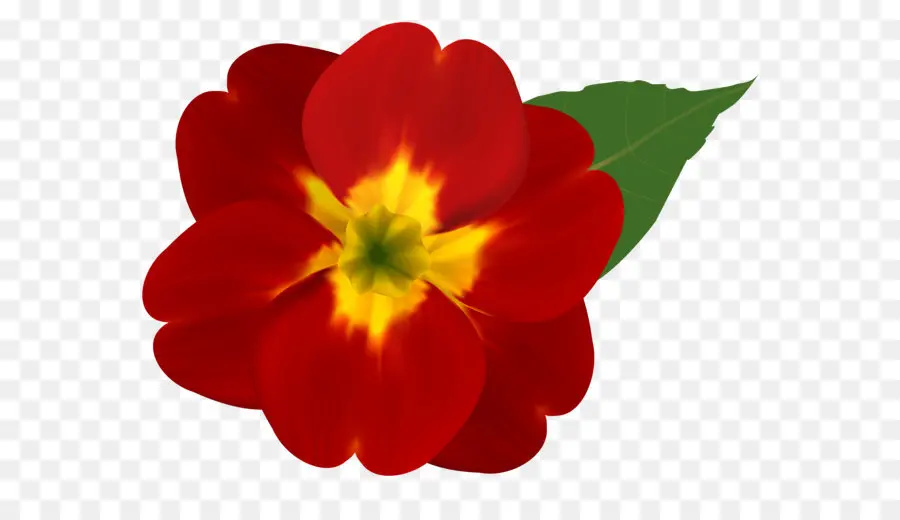 Fleur，Rouge PNG