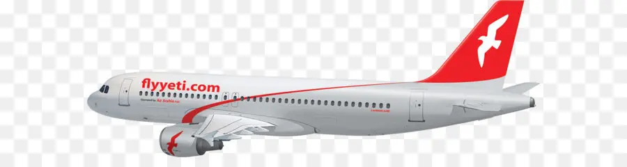 Avion，Voler PNG