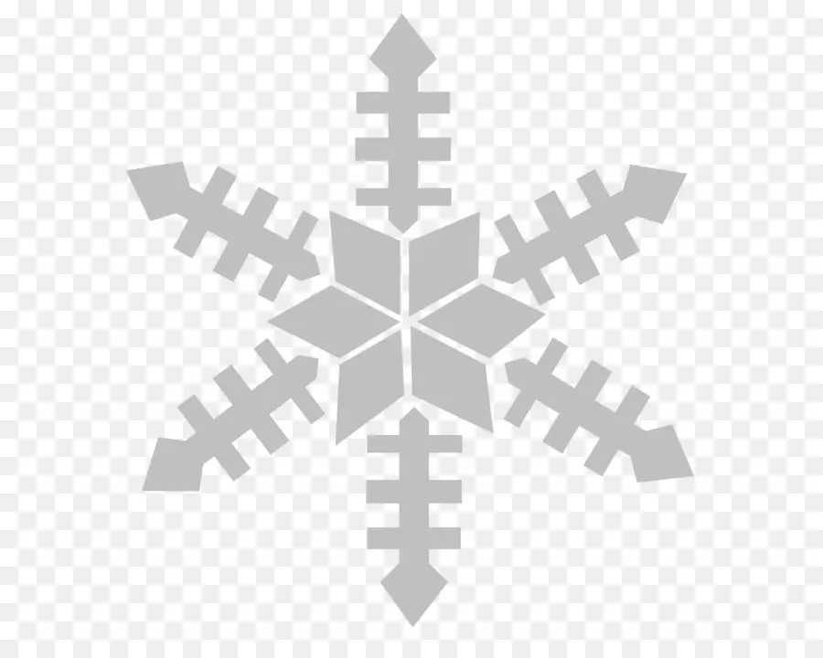 Flocon De Neige，Hiver PNG