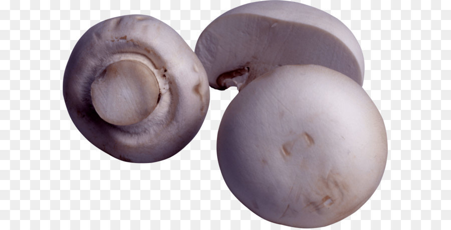 Champignons，Champignons Blancs PNG