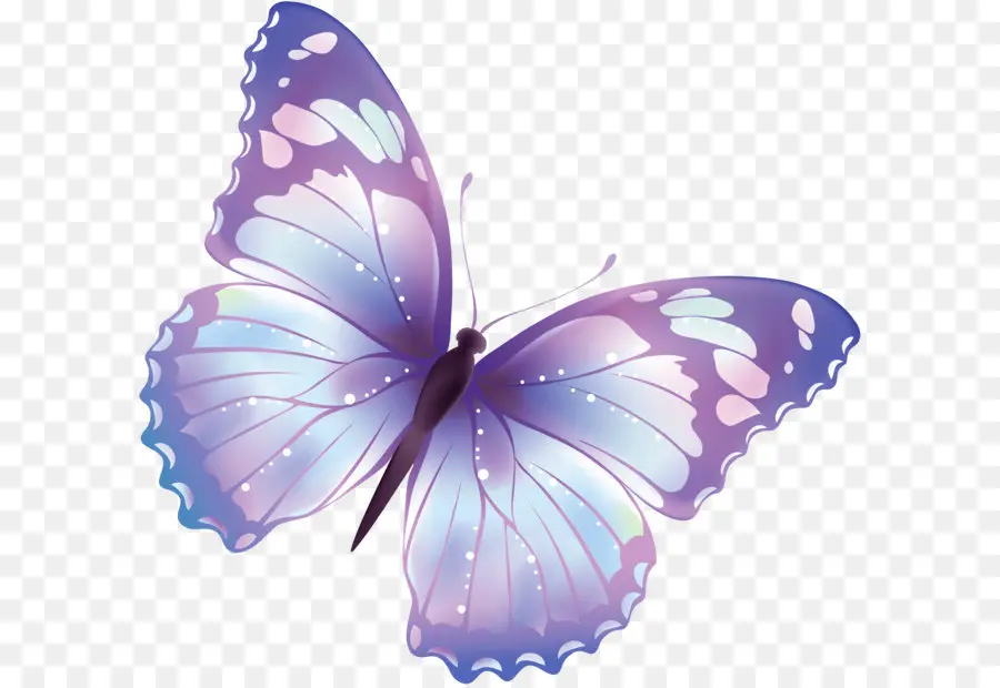 Papillon，Violet PNG