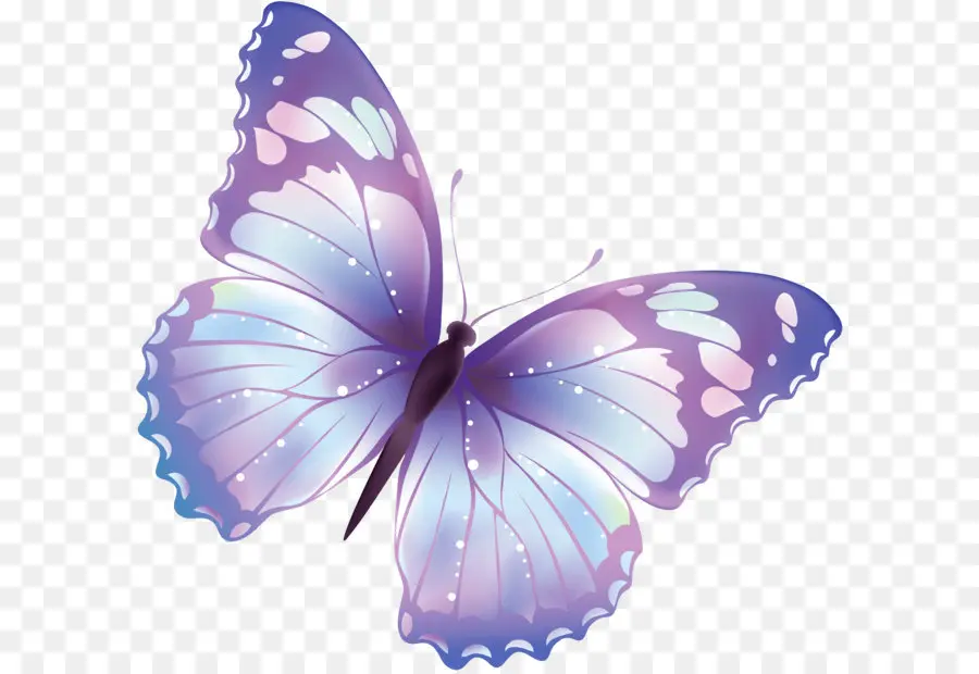 Papillon，Rose PNG