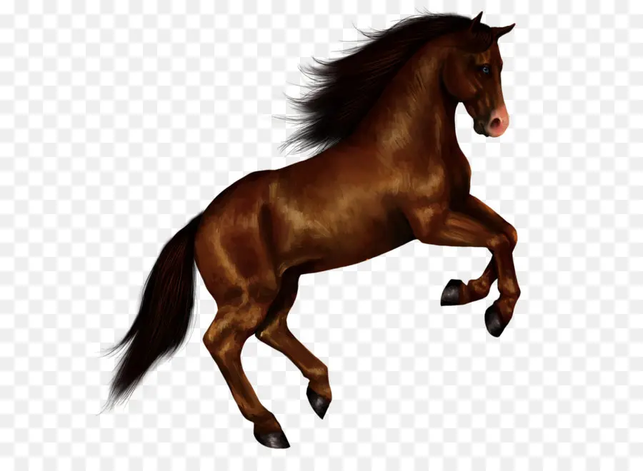 Chevaux Qui Courent，Animaux PNG