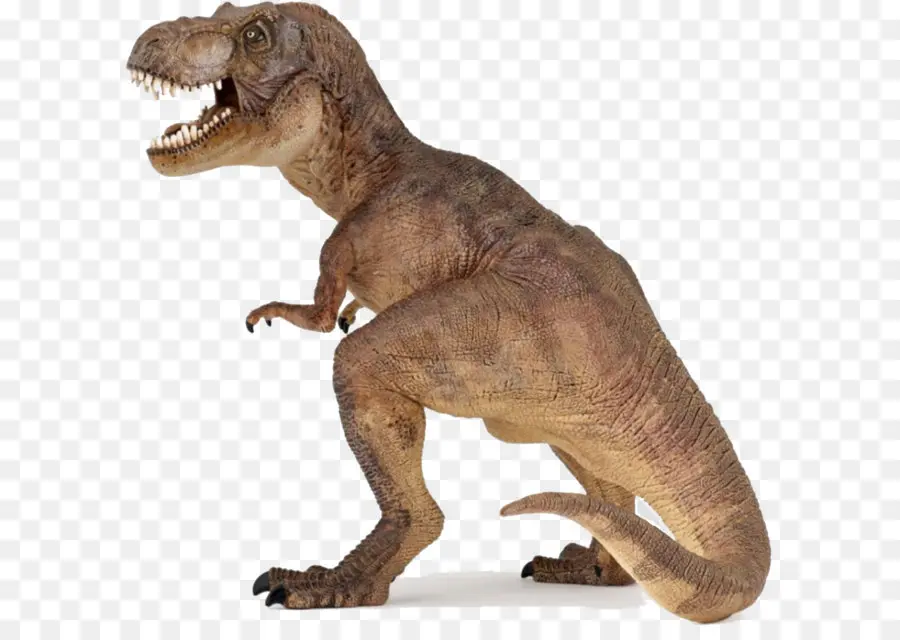 Le Tyrannosaure，Acrocanthosaurus PNG
