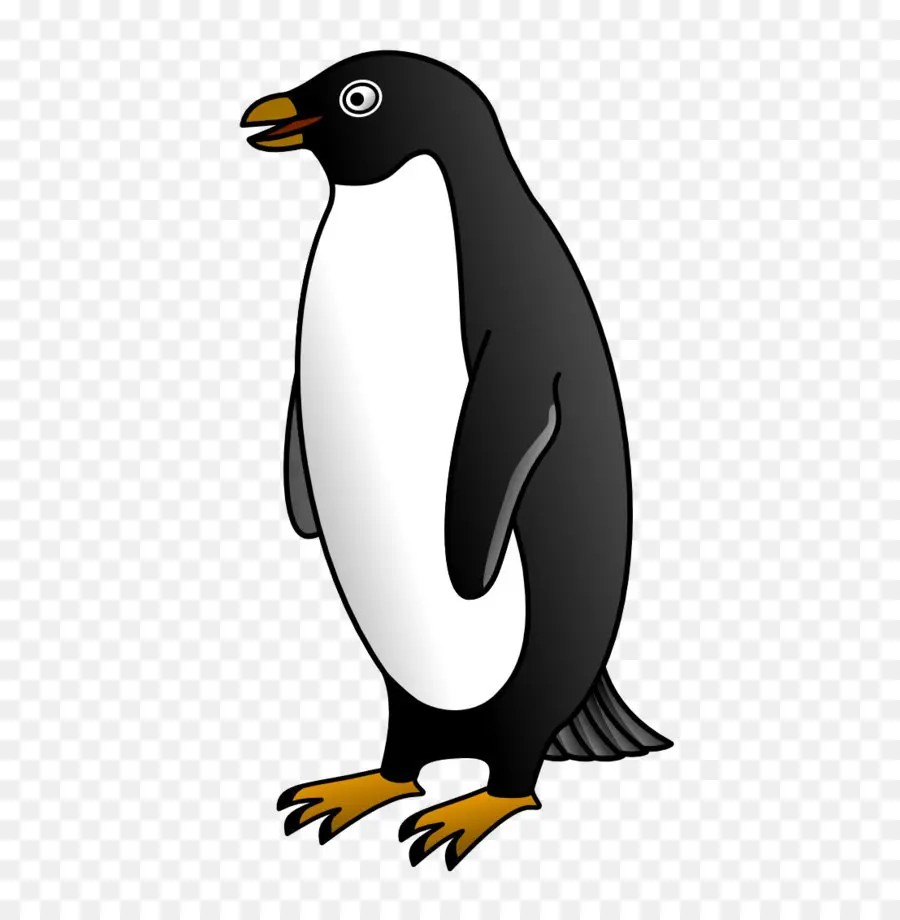 Pingouin，Contenu Libre PNG