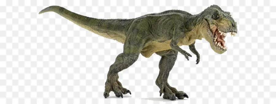 Tyrannosaure Rex，Préhistorique PNG