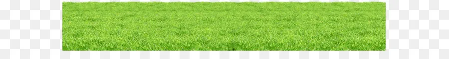 Herbes，Pelouse PNG