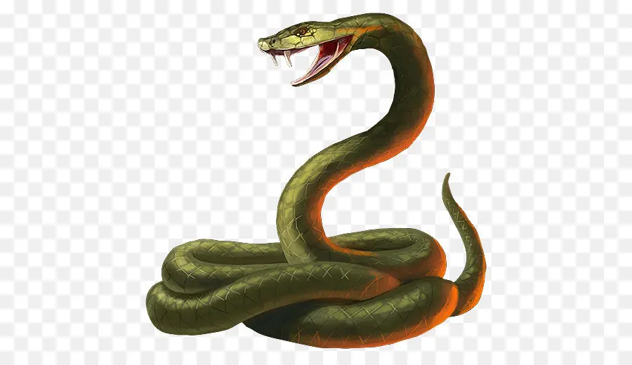 Serpent，Vipères PNG