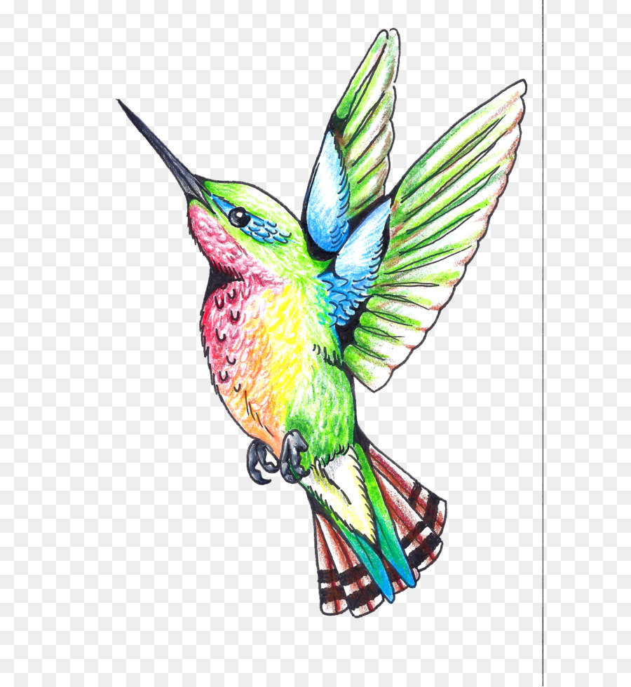 Colibri Tatouage Oiseau Png Colibri Tatouage Oiseau