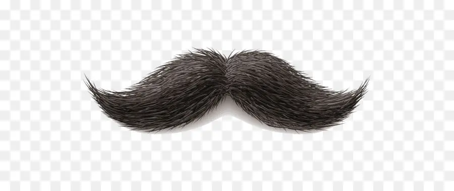Moustache，Le Guidon Moustache PNG