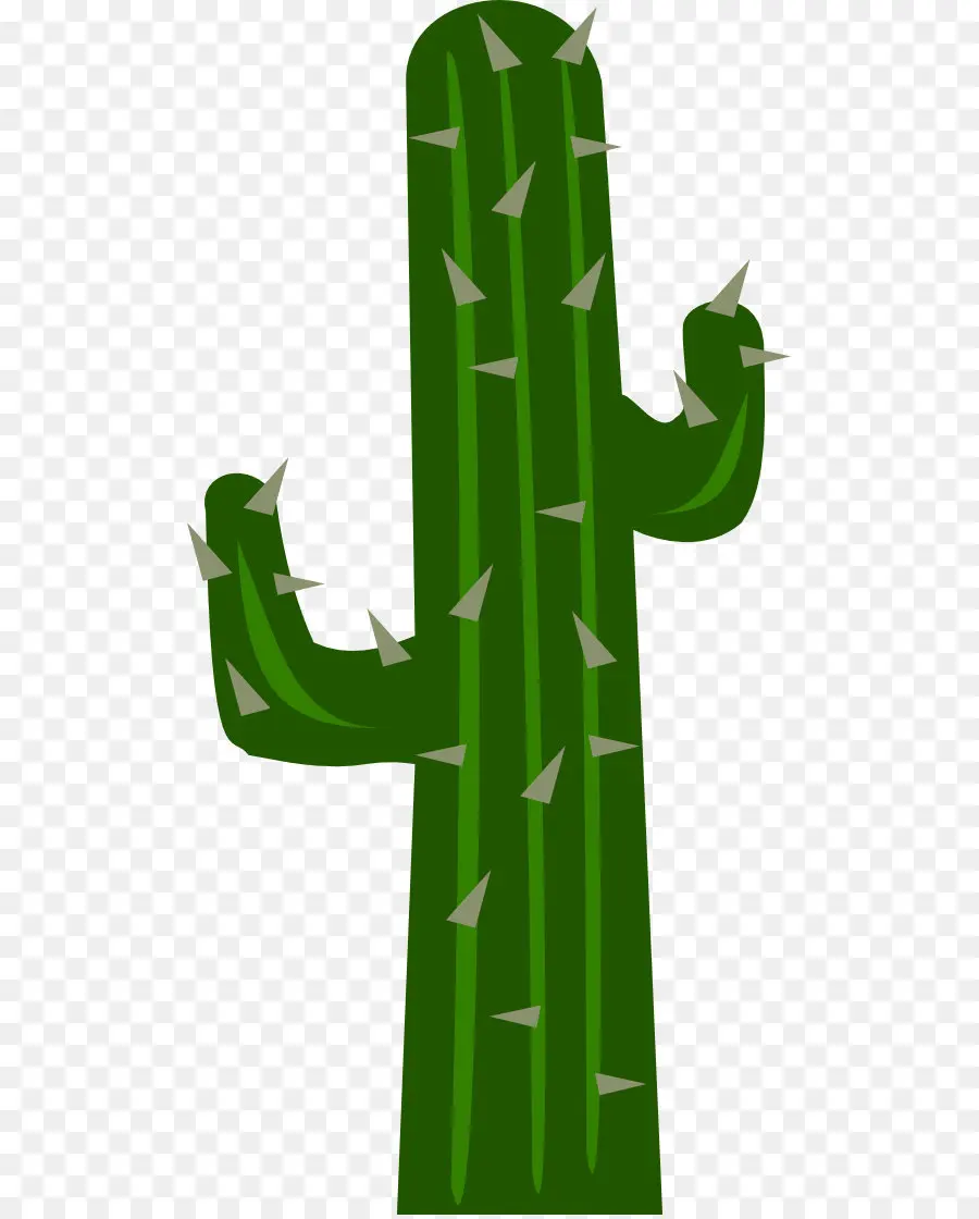 Cactus，Désert PNG