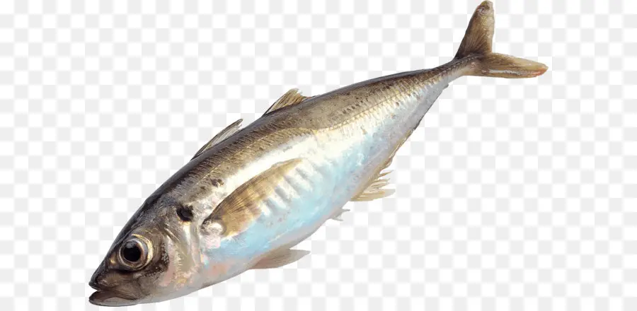 Les Poissons，La Pêche PNG