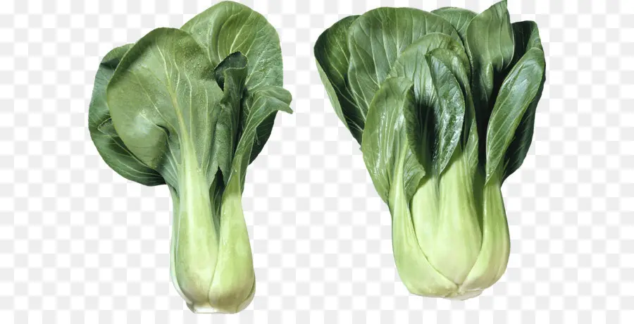 Chou，Brassica Juncea PNG