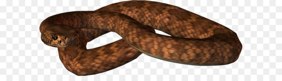 Serpent，Crotale PNG