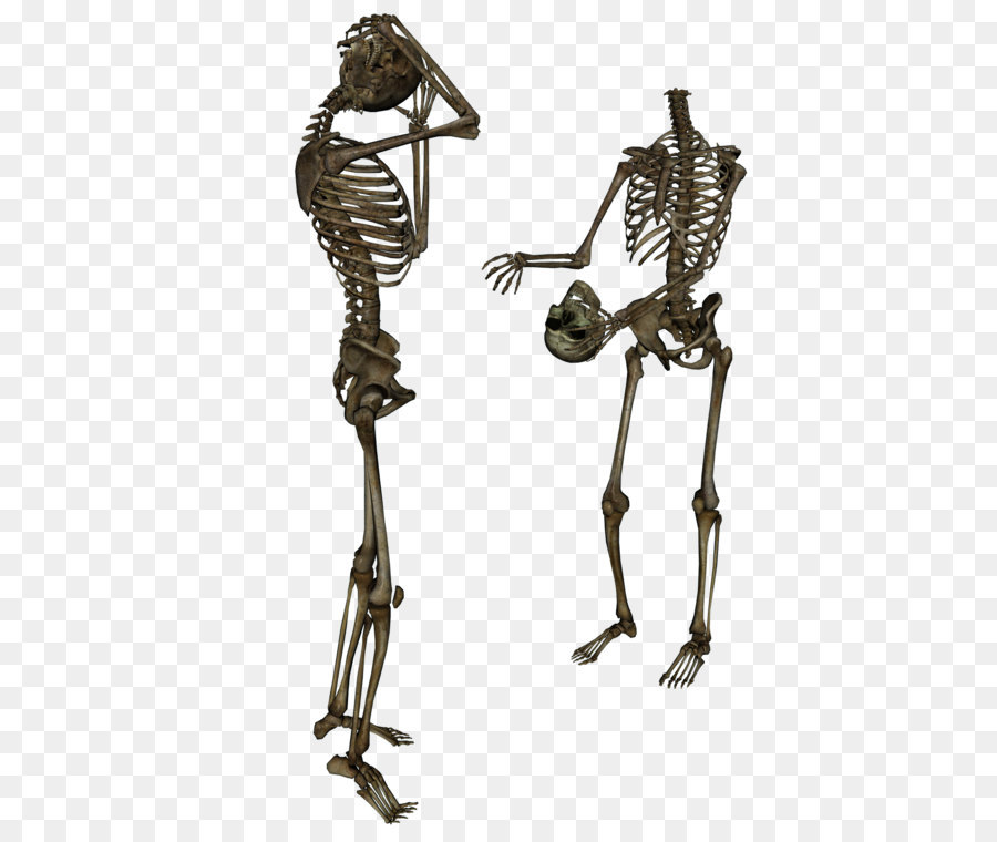 L Homme Squelette，Squelette PNG