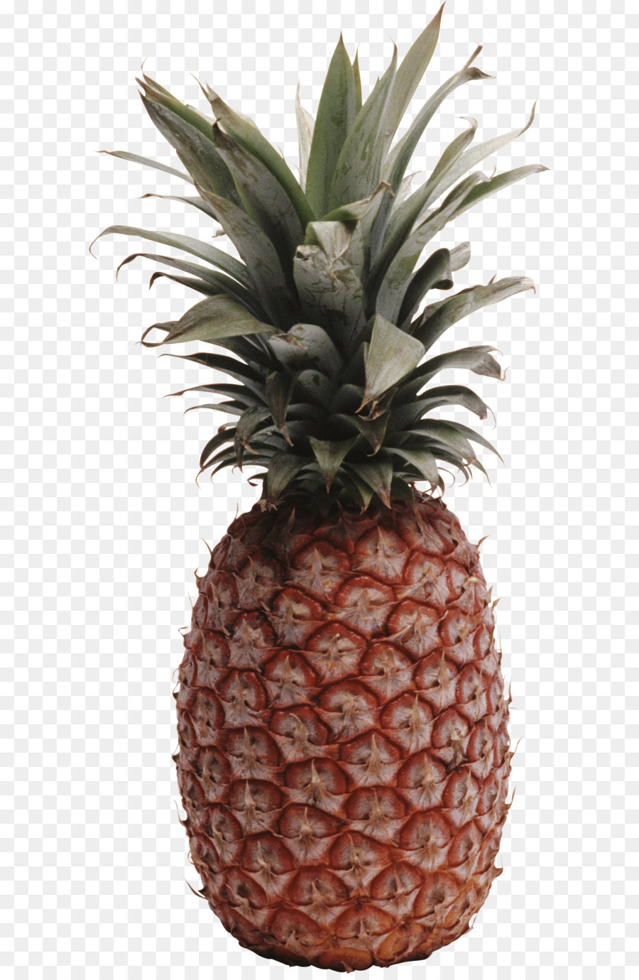 Ananas Bleu，Fruit PNG