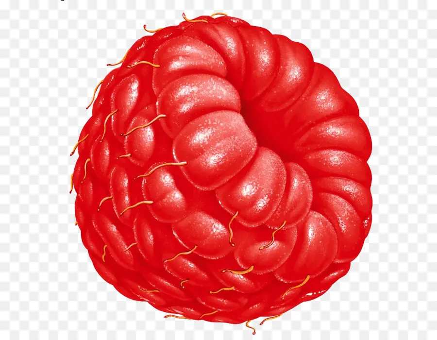 Framboise，Rouge PNG