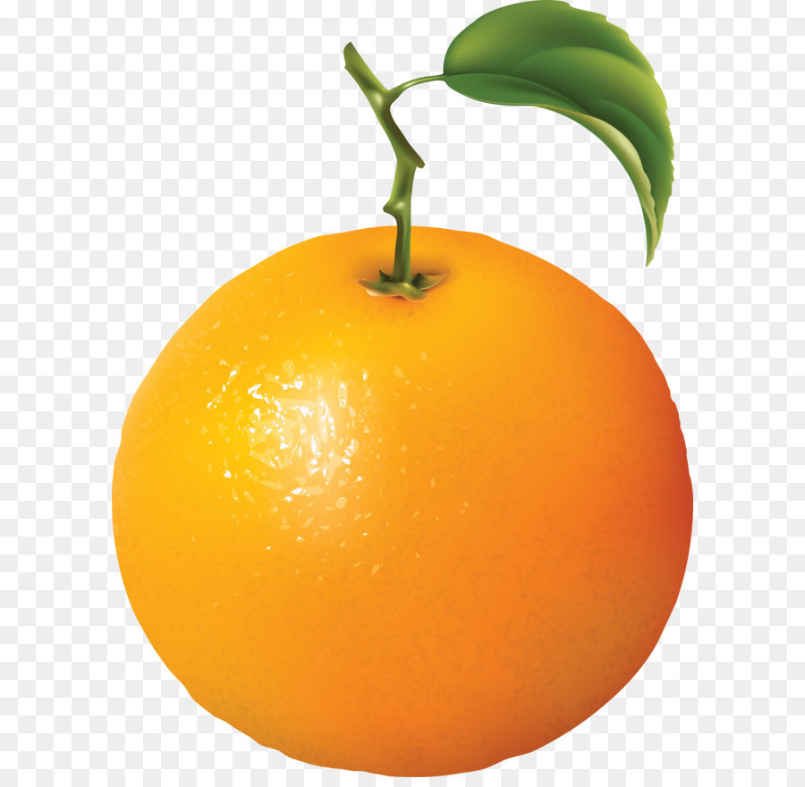 Orange，Agrumes PNG