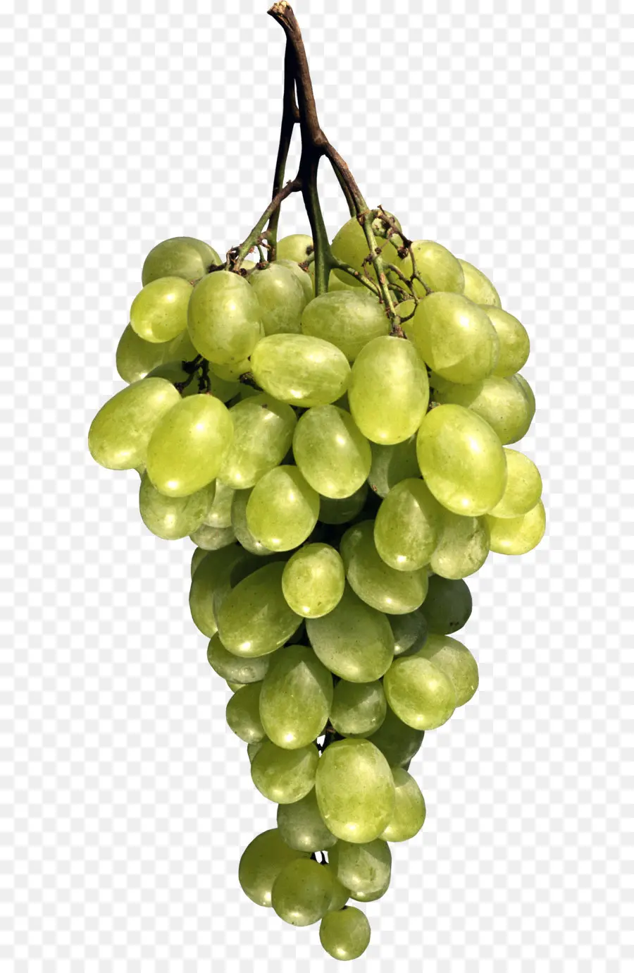 Raisin，Fruits PNG