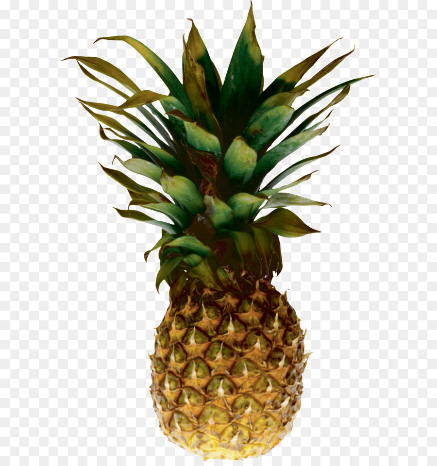 Ananas，Tropical PNG