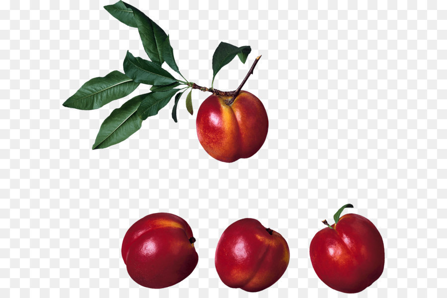 Nectarine，Fruits PNG