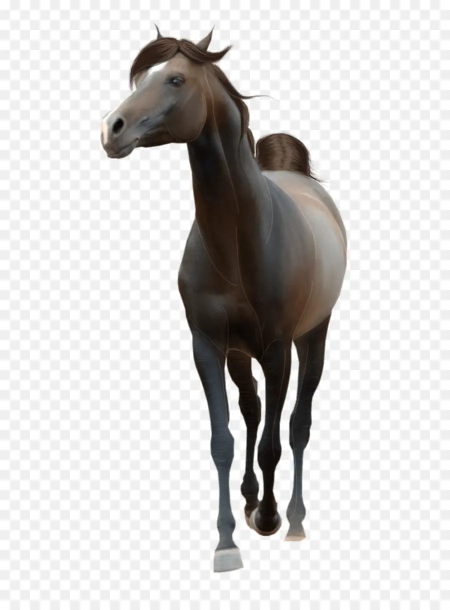 Cheval Blanc，étalon PNG