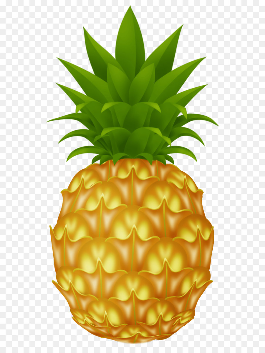 Ananas，Tropical PNG