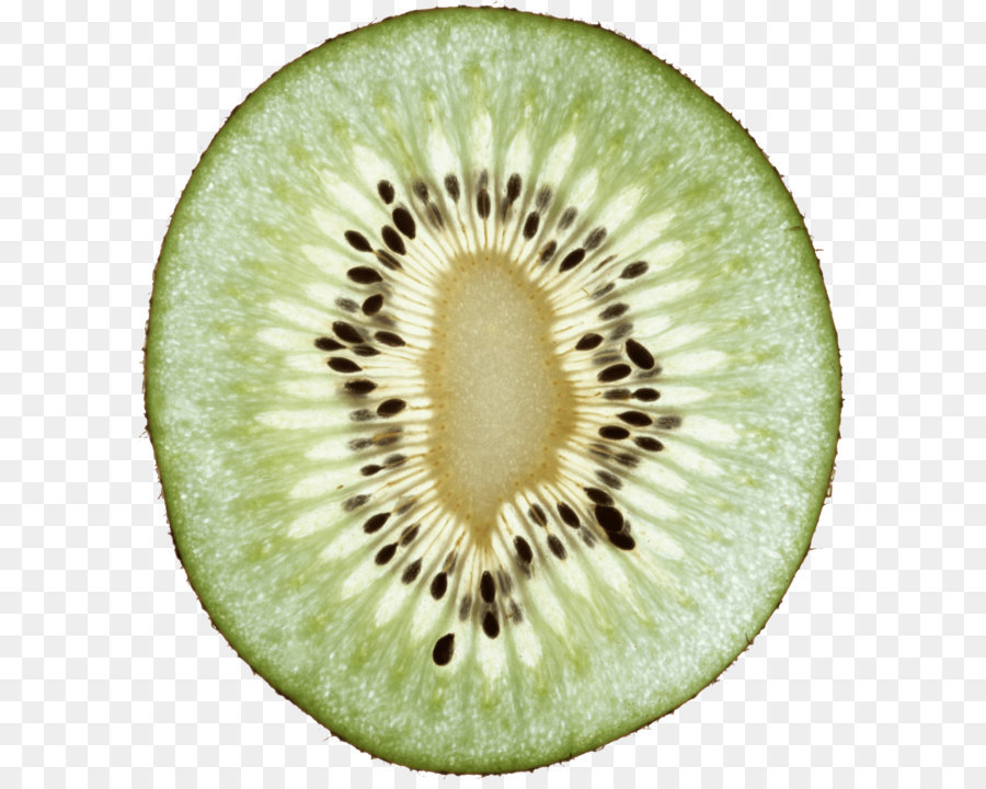 Tranche De Kiwi，Vert PNG