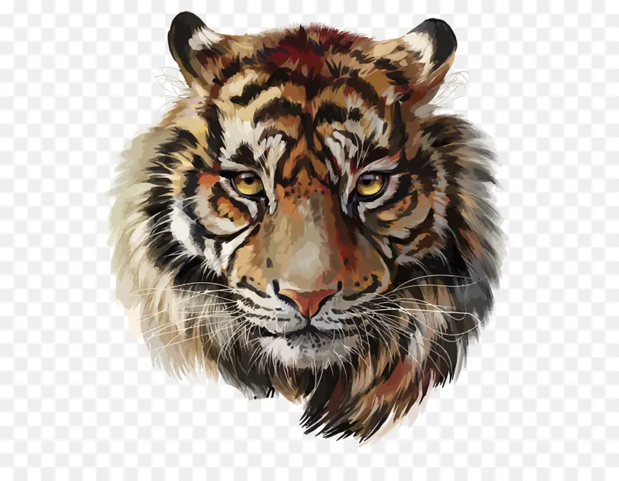 Tigre，Aquarelle Peinture PNG