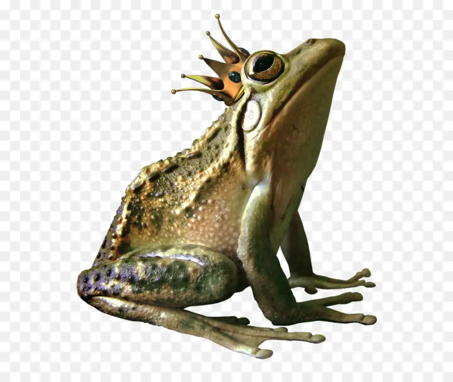 Grenouille Avec Couronne，Grenouille PNG