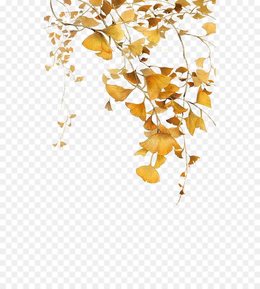 Feuilles Dorées，Doré PNG