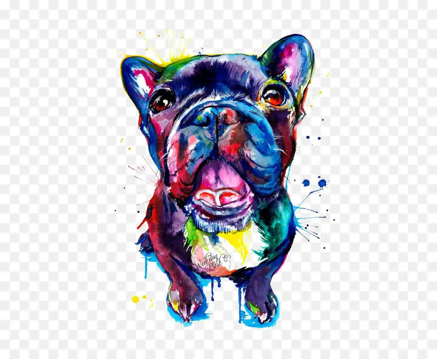 Français Bulldog，Bouledogue PNG