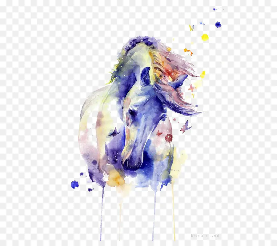 Cheval，Aquarelle Peinture PNG