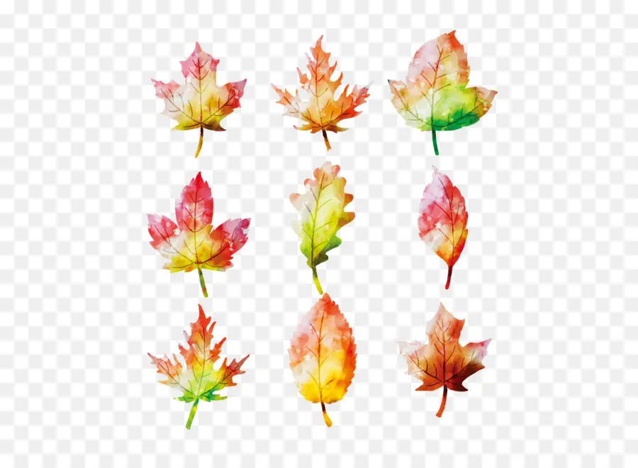 Feuilles Colorées，Automne PNG