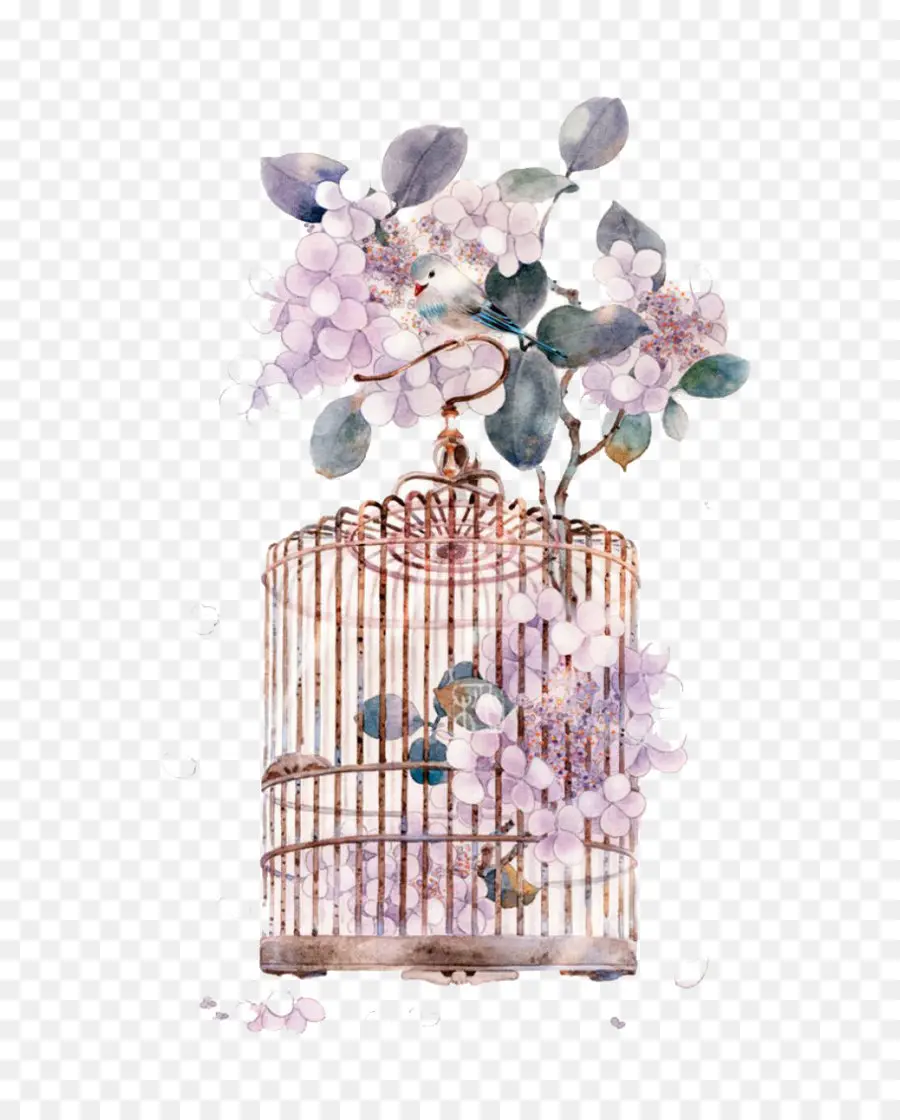 Cage à Oiseaux Avec Des Fleurs，Oiseau PNG