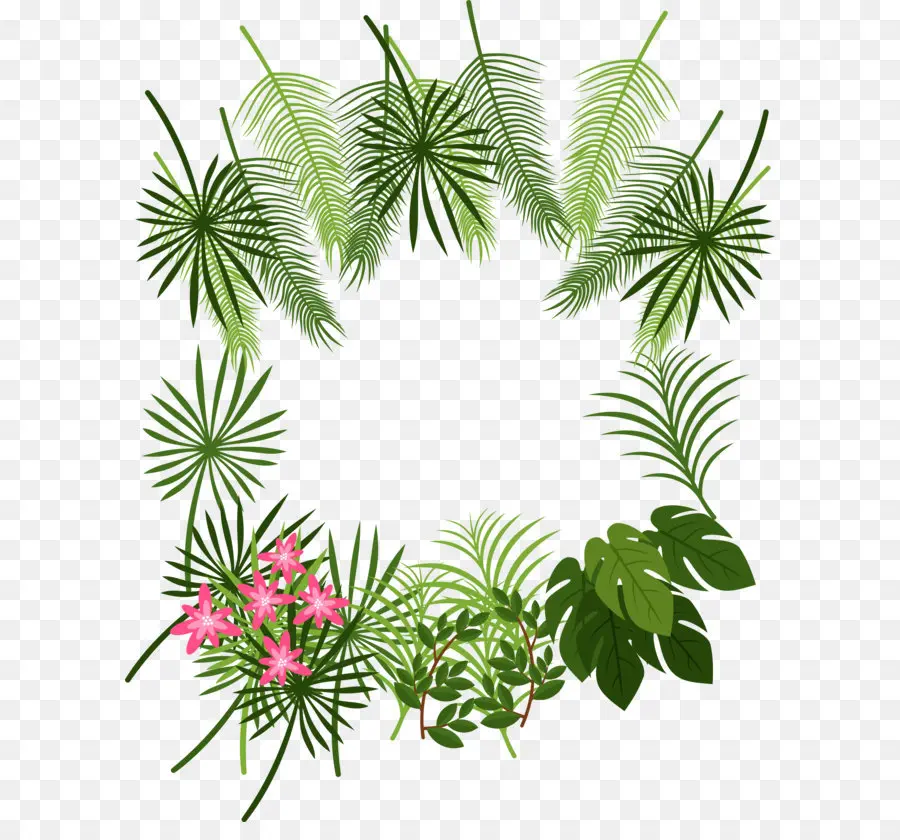 Feuilles Tropicales，Vert PNG