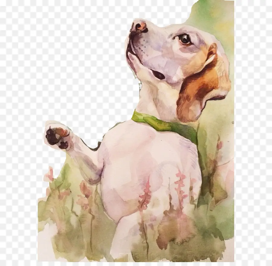 Chien，Aquarelle PNG