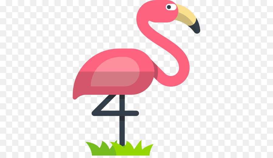 Flamant Rose，Bec PNG