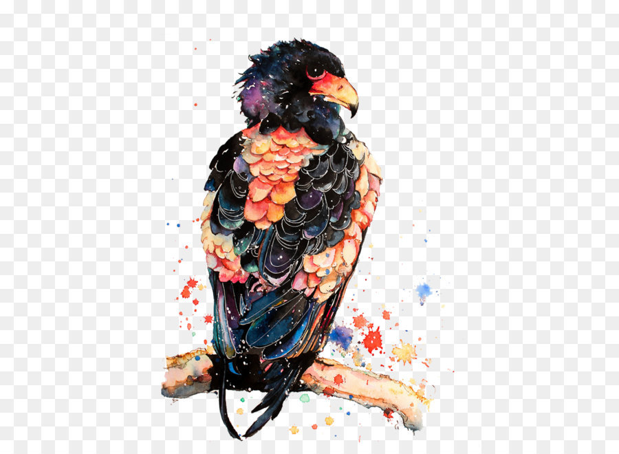 Oiseau Coloré，Plumes PNG