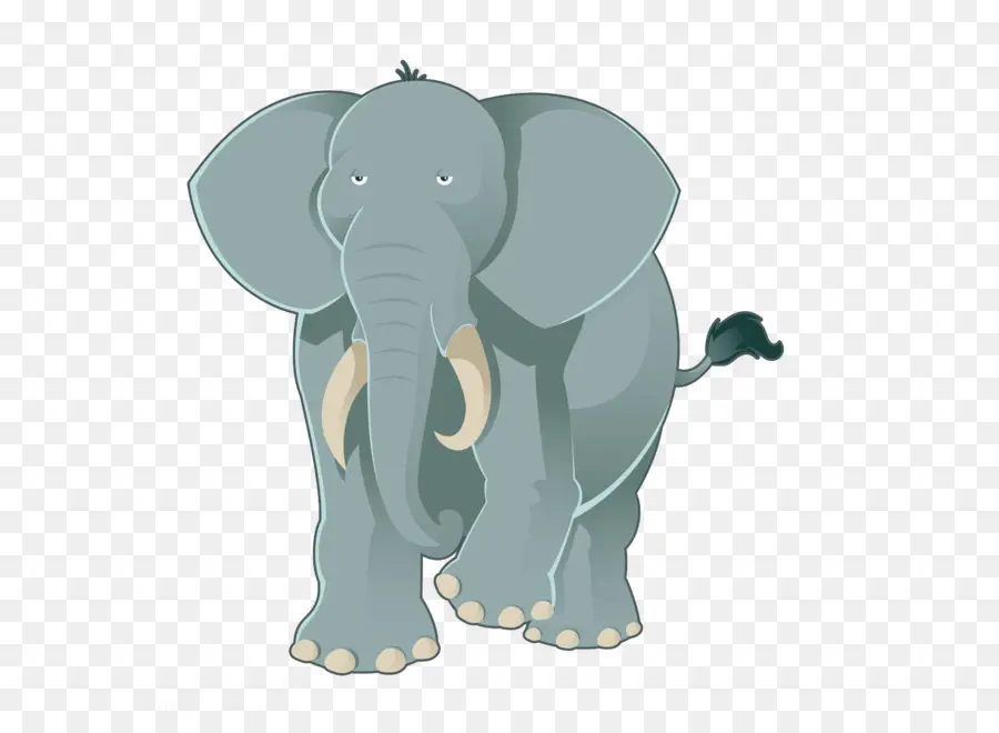 Éléphant，Défenses PNG