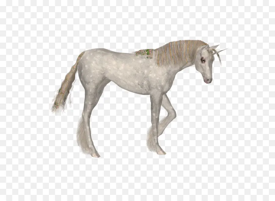 Licorne，Mythique PNG