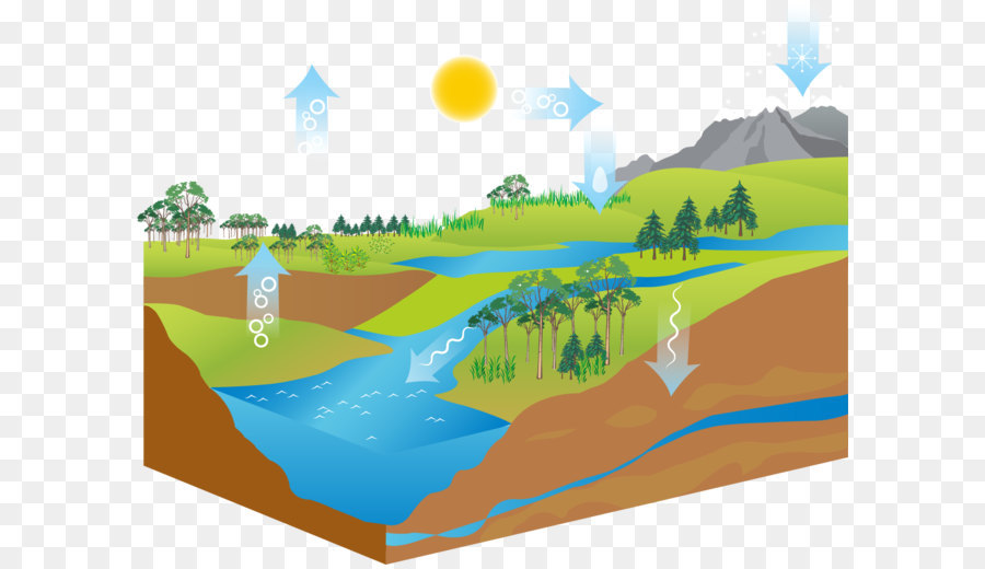 Cycle De L Eau，Diagramme PNG