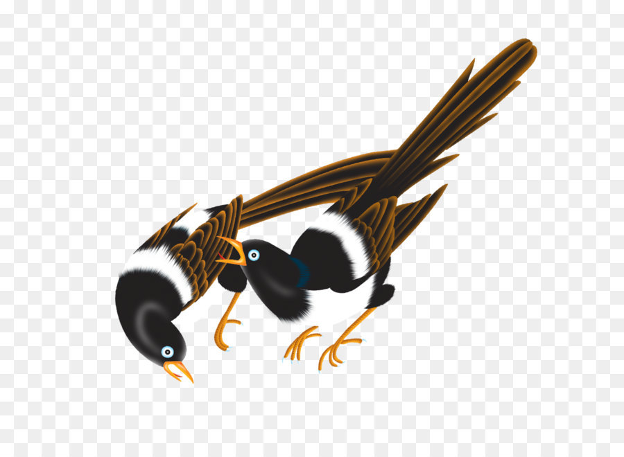 Les Insectes，Oiseau PNG