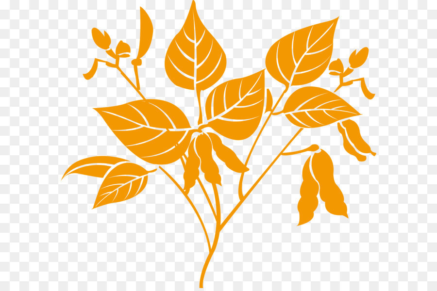 Usine，Feuilles PNG