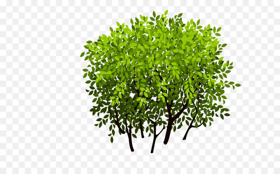 Arbre，Arbuste PNG