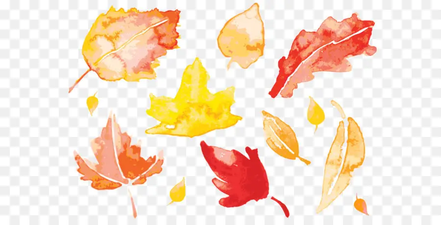 Feuilles D'automne，Automne PNG