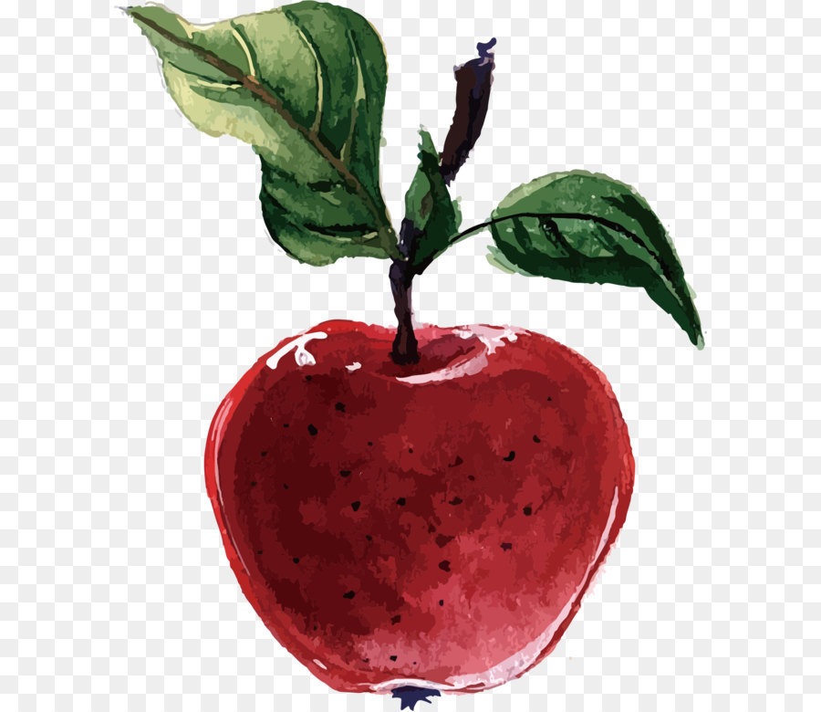 Pomme Rouge，Feuille PNG