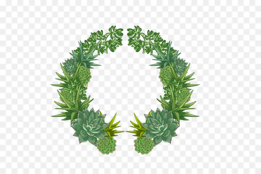 Couronne Verte，Plantes Succulentes PNG